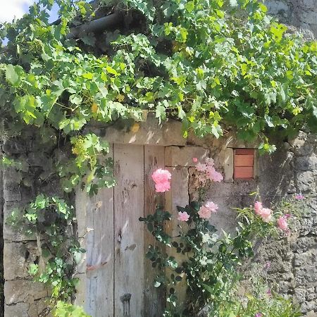 Gite Le Tilleul De La Fontaine Hotel Alluy Buitenkant foto